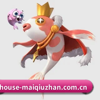 买球站 APP